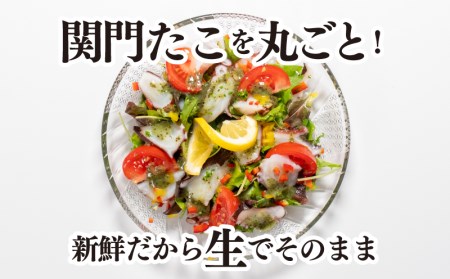 関門たこ 1杯 冷凍 たこ刺身 まだこ タコ EY