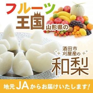 SA2919　刈屋梨 和梨 (品種おまかせ)　約3kg