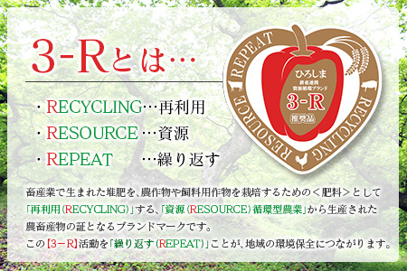 3-R おおあさ こしひかり 1kg×4袋 JA018_002