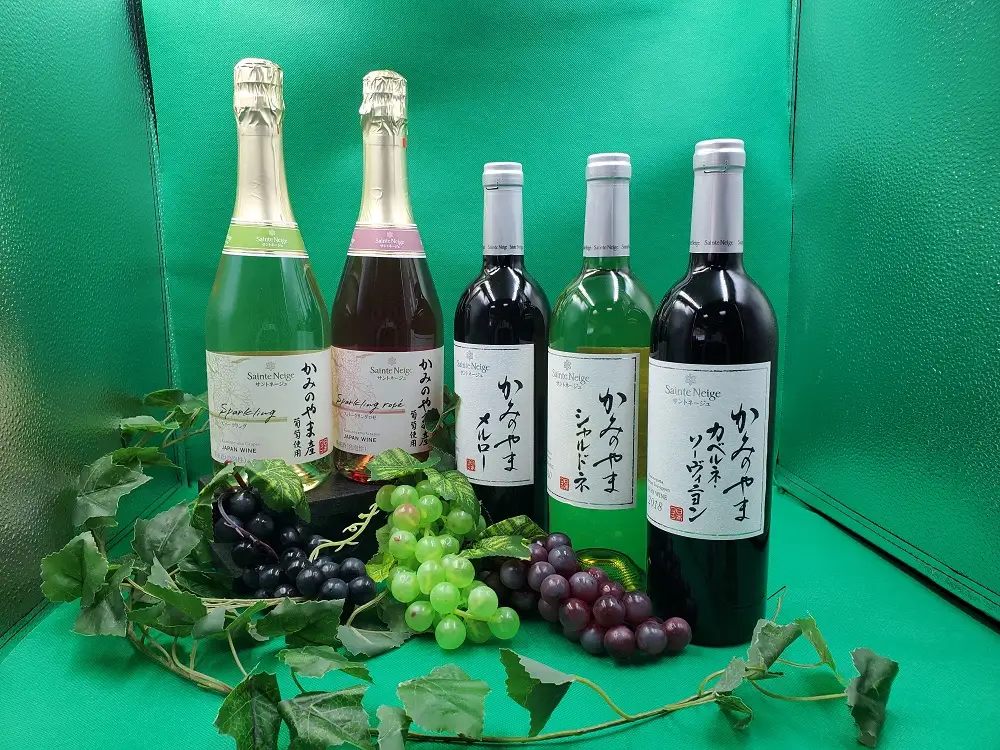 【定期便：全５回】サントネージュかみのやまシリーズ　0141-2420