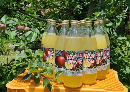 【ふるなび限定】 搾りたてりんごジュース 1,000ml×3本 完熟 りんごジュース FN-Limited-SP