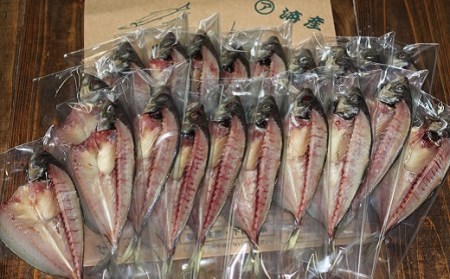 あじ 国産 干物 開き 満腹セット（20枚）［1511-2］