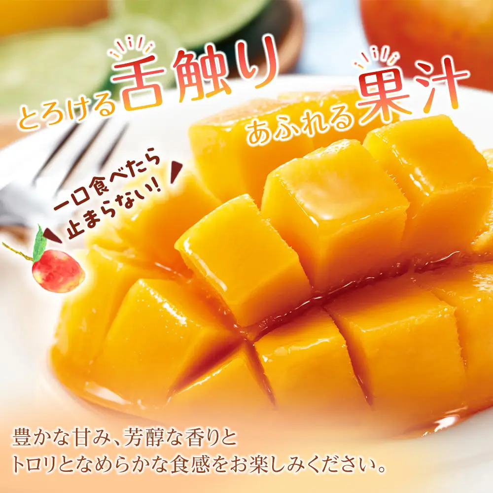 【2026年発送】奄美大島産　完熟マンゴー 約1キロ（2～3玉）| マンゴー