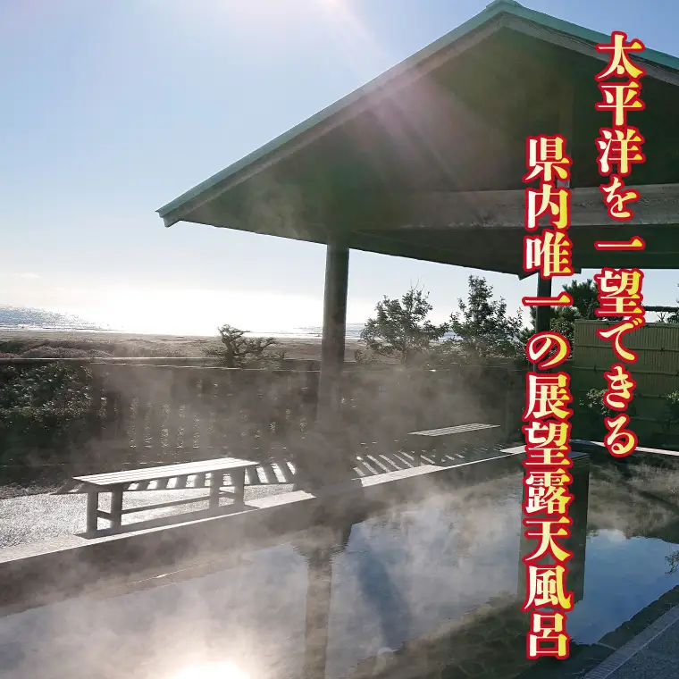 天然温泉 潮騒の湯 クーポン券 3000円分（1000円×3枚） 露店風呂 サウナ おんせん 大洗サンビーチ 海鮮 魚介 食事 宿泊 チケット 利用券 アウトドア 旅行_CJ001