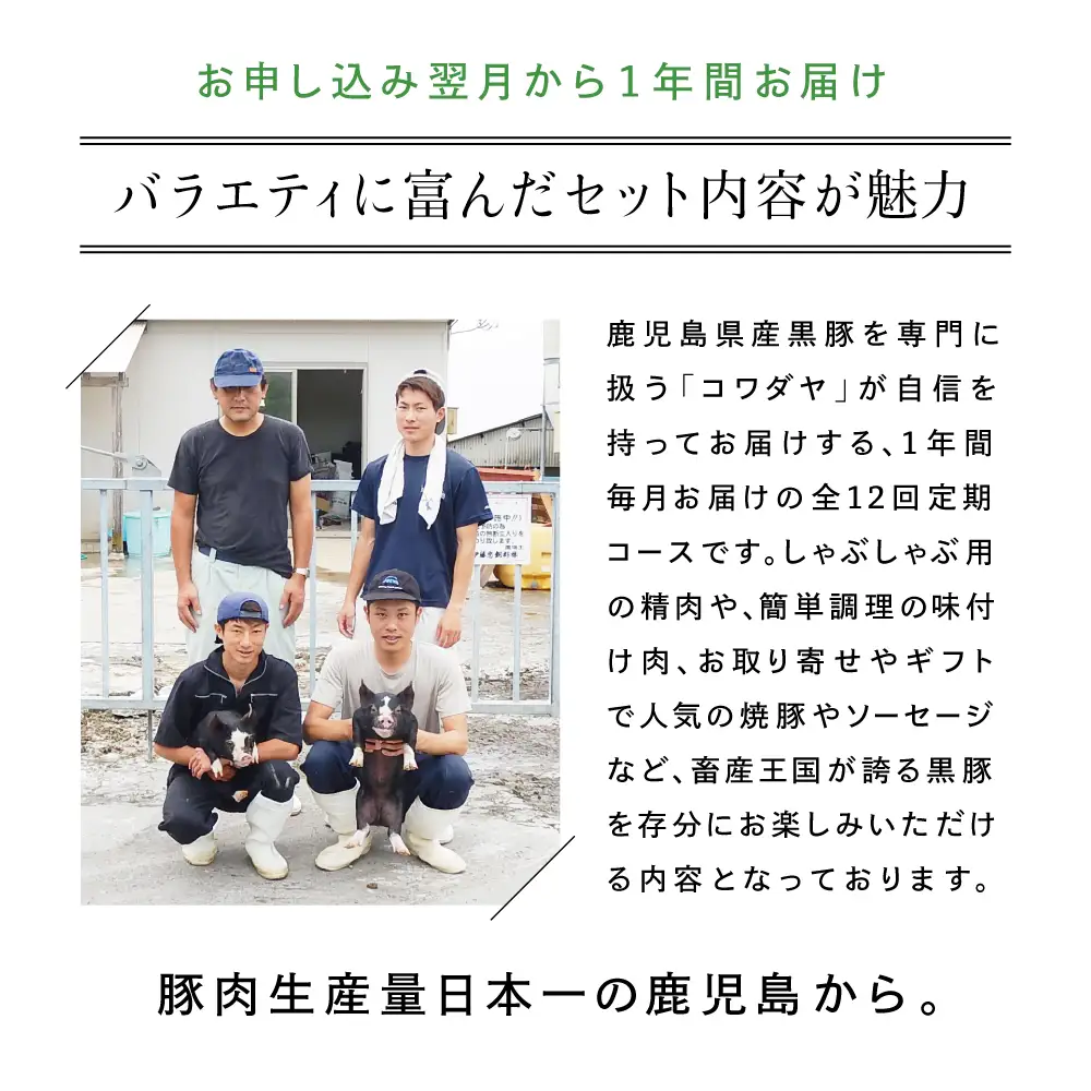 【毎月届く定期便】黒豚のプロフェッショナル「コワダヤ」の厳選黒豚味わい尽くしコース（全12回） しゃぶしゃぶ 生姜焼き 焼き豚 焼豚 ウインナー ソーセージ ロース 切落し 切り落とし 鹿児島県産 冷凍 南さつま市