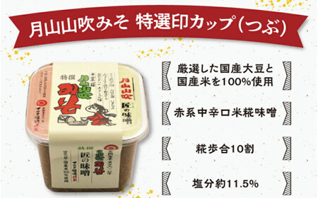 【現代の名工】蔵元直送! 調味料詰め合わせ(味噌・醤油・めんつゆ)　013-G-MT015