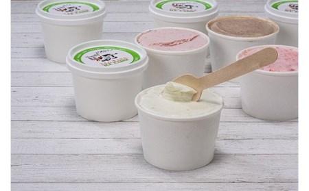 北海道産 手作りアイスクリーム 120ml×8個セット (おまかせ詰め合わせ)  南幌町 NP1-292