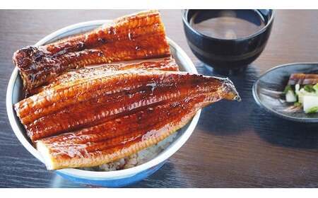 愛知県三河一色産うなぎ蒲焼き　超特大サイズ2尾(合計500g以上) 国産 愛知県産 西尾市産 西尾一色産 うなぎの兼光 鰻 ウナギ 蒲焼き 惣菜 総菜 タレ付き たれセット 海鮮 魚 丑の日 土用の丑の日 ・U039-19