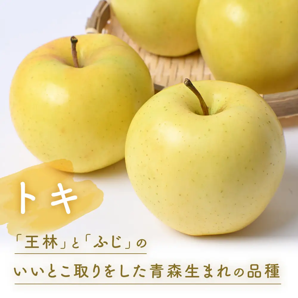 青森県産りんご トキ 約5kg りんご 9月下旬～