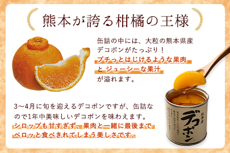 デコポン缶詰 10缶 果物 フルーツ 柑橘 缶詰 デコポン