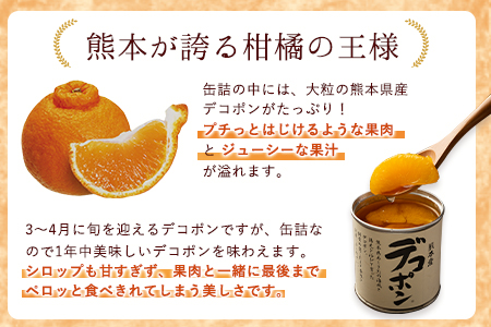 デコポン・甘夏缶詰セット 計10缶入り 果物 デコポン