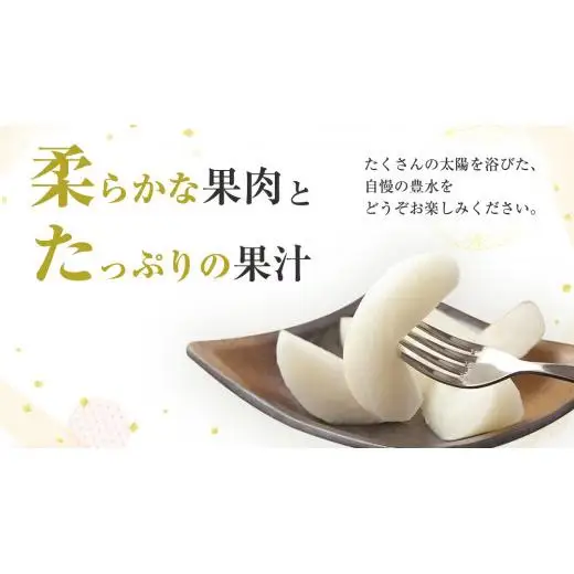 【 2026年8月下旬発送開始 】 茨城県産 梨 豊水 （約 5kg ） 10～14玉