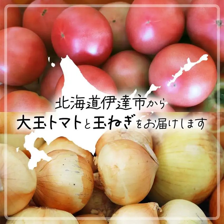 ◆2026年7月から順次出荷◆ farmユメソラ 大玉トマト＆玉ねぎセット 約5kg [famy-003]