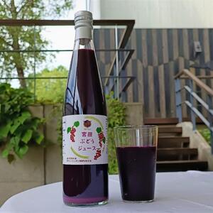 宮田ぶどうジュース 500ml × 12本セット 果汁100％ ぶどう 長野県 宮田村 国産 本坊酒造 