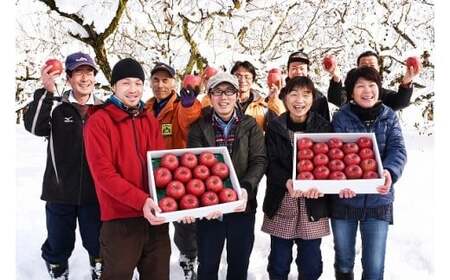 令和8年産 りんご 2種類 食べ比べ「サンふじ・シナノゴールド」 秀品 3kg（8 - 10玉）2026年産 山形県産【2026年12月上旬頃から下旬頃発送予定】　014-B-HK006