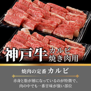 神戸牛カルビ焼肉1.4kg(700g×2) 《 肉 カルビ 神戸牛 焼肉 サシ 国産 1.4kg 小分けタイプ プレゼント お取り寄せ 送料無料 おすすめ》【2404A00215】