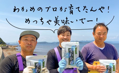 【漁師直送】湯通し塩蔵わかめ300ｇ×2袋【淡路島鳴門海峡原産】