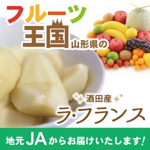 SA2921　酒田のラ・フランス　約3kg