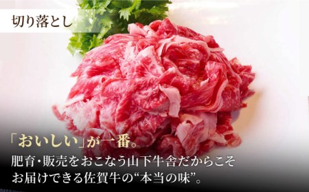 佐賀牛 A5 おうちごはんセットA（切り落とし 500g・ミンチ 300g・牛すじ 300g） HAD120 切り落とし