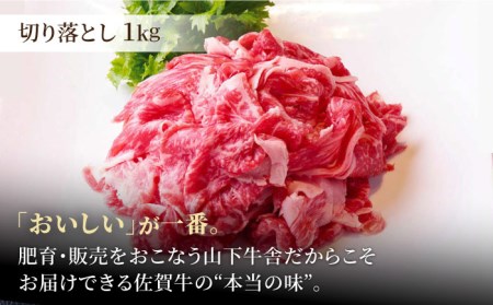 【全6回定期便】佐賀牛 A5 おうちごはんセットB（切り落とし 1kg・ミンチ 600g・牛すじ 600g） HAD126 佐賀牛