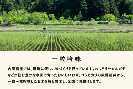 【令和7年産】福井県産 内農米 ハナエチゼン 10kg