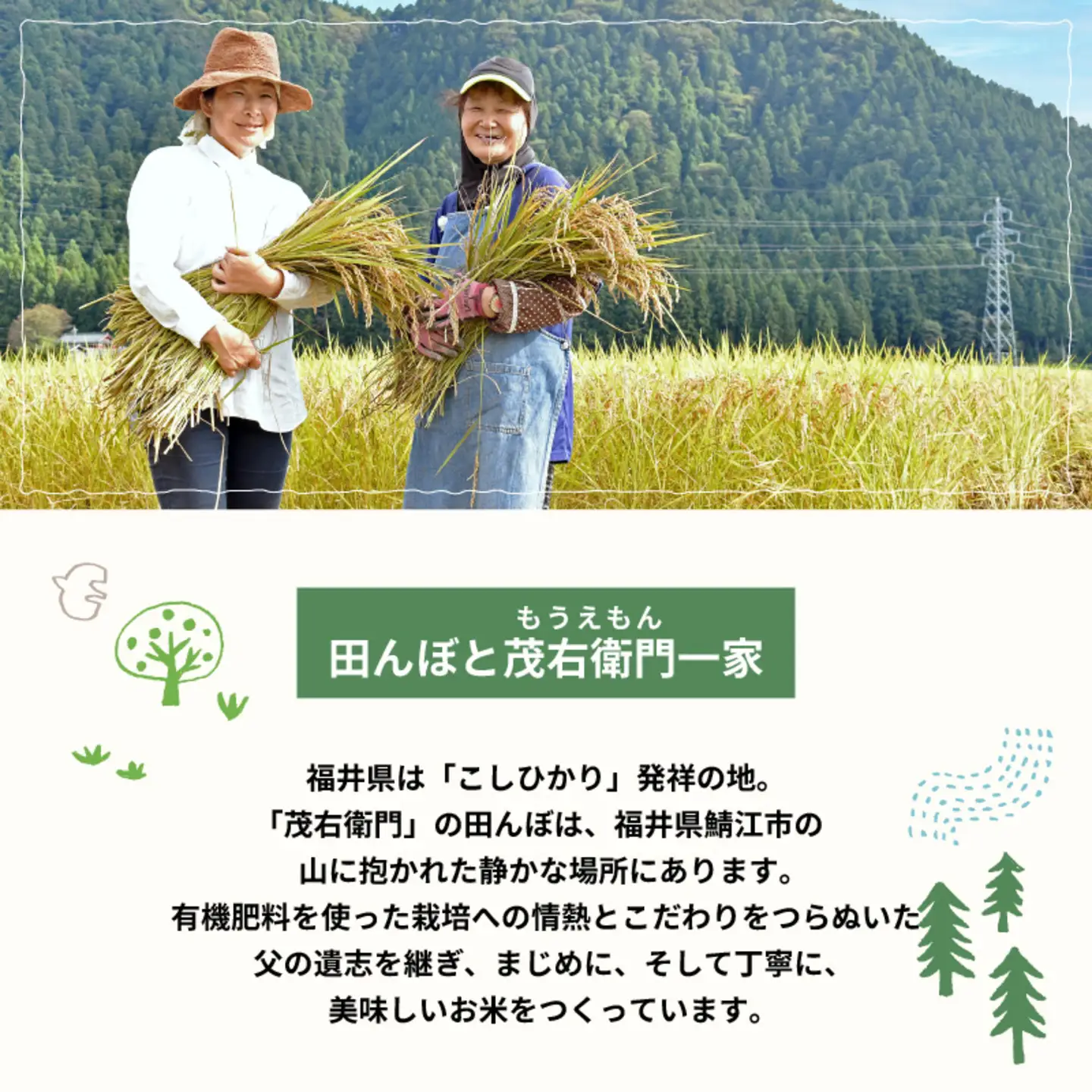【令和7年産】冬水田んぼでつくる 特別栽培米 もうえもん コシヒカリ（5kg × 1袋）真空パック