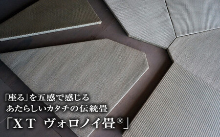デザイン畳 伝統素材 ＸＴヴォロノイ3.0
