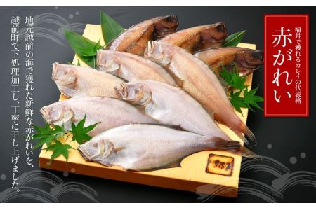 干物 赤がれい一塩干し 大サイズ（1尾 × 9パック入り）1尾約170g【カレイ かれい ひもの 小分け 無添加 冷凍】 [e04-a090]