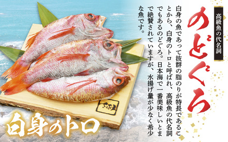 のどぐろ 開き 大サイズ × 2尾（170～200g / 尾）【干物 ひもの ノドグロ アカムツ 冷凍 無添加 化粧箱入】 [e04-b030]