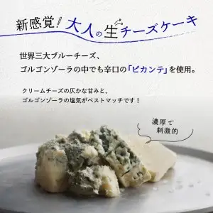 生ブルーチーズケーキAo（青）【大阪府吹田市】冷凍 濃厚 熟成 ブルーチーズ ゴルゴンゾーラ ピカンテ クリームチーズ チーズ スイーツ おつまみ ワインに合う 