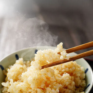玄米 山形県産 はえぬき 20kg（5kg×4袋） 2025年産 令和7年産 20キロ 山形県寒河江市　072-C-MM048