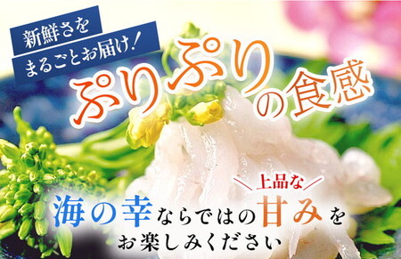 シロエビの刺身200g×2