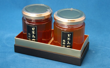 日本みつばちの純粋蜂蜜 大2個セット 加工食品 はちみつ ハチミツ 瓶 