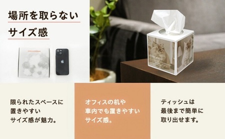 キューブ型 ティッシュ 14箱 ティッシュペーパー 日用品 日用品