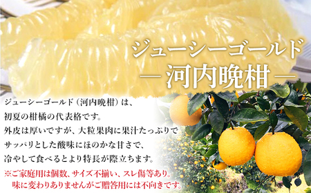 ＜ジューシーゴールド（河内晩柑） ご家庭用 約6kg＞ 訳あり 果物 フルーツ かわちばんかん じゅーしーごーるど みかん 蜜柑 オレンジ 柑橘 食べて応援 特産品 宇都宮物産 愛媛県 西予市 【常温】『2026年4月中旬～6月中旬迄に順次出荷予定』UUB0011