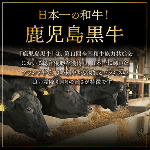 鹿児島黒牛 サーロインステーキ ・ すきやき セット （E-301） W032-001u 肉 牛肉 冷凍