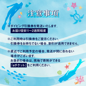 沖永良部島のファンダイビング 2ボートダイブ W015-002u チケット 体験