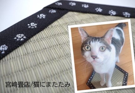 【宮崎畳店】一級技能士が作るインテリア畳「猫にまたたみ」 