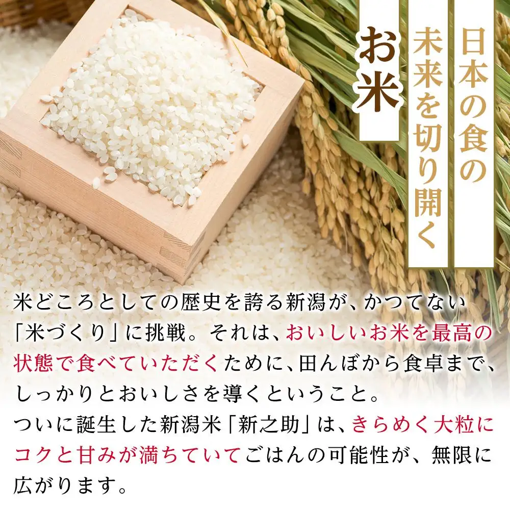【パックごはん】新之助ごはん150g×24個
