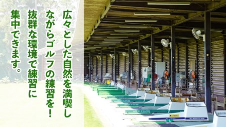 ゴルフ練習場回数券 5回券（250球） ビジター用 イベントやチケット ゴルフ場利用券 打ちっぱなし 回数券 アウトドア ビジター [CD004ya]