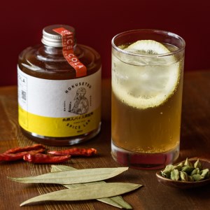 飲むスパイス革命！北摂スパイスコーラ(180ml・ミックススパイス付) ふるさと納税 箕面市 特産品 スパイス 香辛料 クラフトコーラ シロップ 実生柚子 ゆず ミックススパイス【m20-02】【オッツマミー】