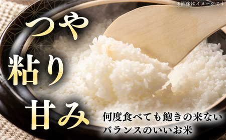 【全12回定期便】【令和7年産】ななつぼし さくら米 5kg 1年 12ヵ月 お米 白米 ななつぼし 特A 一等米 北海道 [AXAB007]