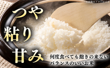 【全12回定期便】【令和7年産】ななつぼし さくら米 10kg 1年 お米 一等米 北海道 [AXAB024]