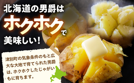 【R8年産先行受付 じゃがいも 10kg 特別栽培（男爵） | ジャガイモ 芋 男爵 馬鈴薯 大容量 新鮮 野菜 煮物 カレー シチュー ポテト 保存 特産 産地直送 北海道 津別町 送料無料