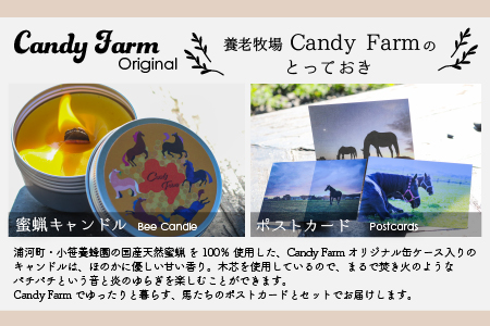 天然蜜蝋100%手作り「キャンドル」＆馬たちの「ポストカード」セット[39-1122]