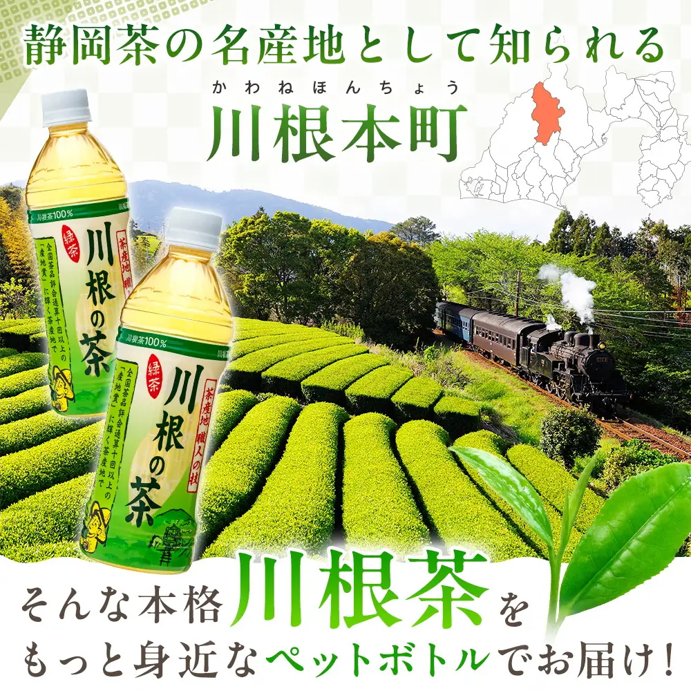 14-3 「川根の茶」ペットボトル