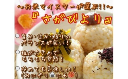 【玄米】《マイスターセレクト》さがびより5kg【特A評価】 086-B772