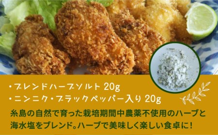 糸島で育てたオリジナルハーブソルト＆ハーブティー 4点セット  糸島市 / 糸島ハーブ・薬香農園 コア・ファーム しお ハーブ 調味料 お茶 [AJC005]