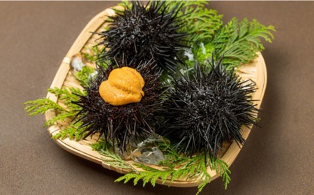 焼売 壱岐産 いかしゅうまい 3種セット 3箱 計22個 【 うに ・あおさ・ いか 】《壱岐市》【大幸物産株式会社】ウニ イカ シュウマイ [JEH018] 20000 20000円