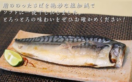498【茨城県共通返礼品/神栖市】大トロさば文化干し【3ヶ月連続お届け】